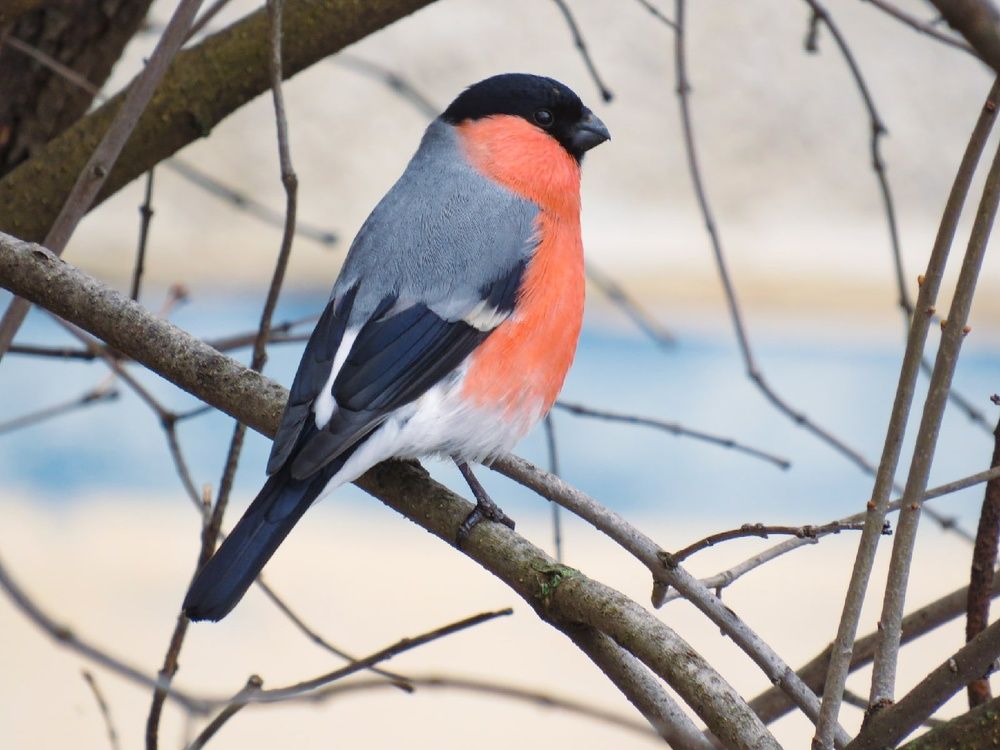 Photograph by Елена Гарипова