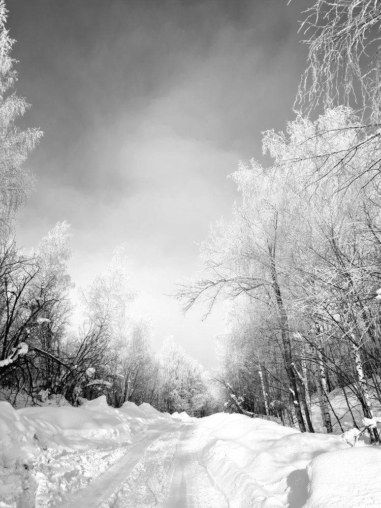 Photograph by Tatiana Denisova