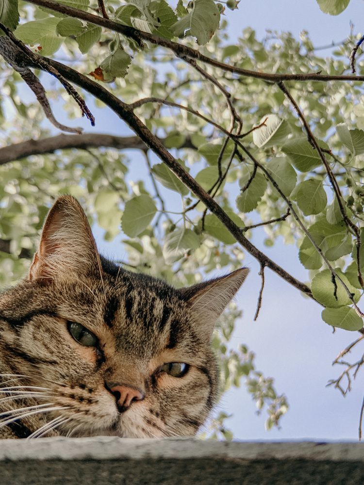 Photograph by Яна Полякова