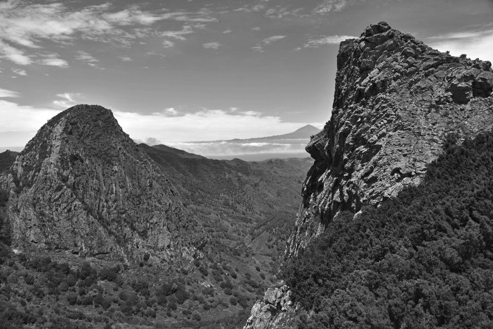 Photograph by Корнейчук Игорь