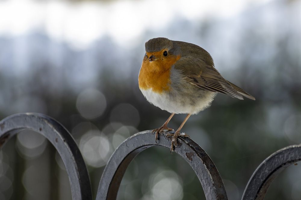 Photograph by Виктор Филипчук