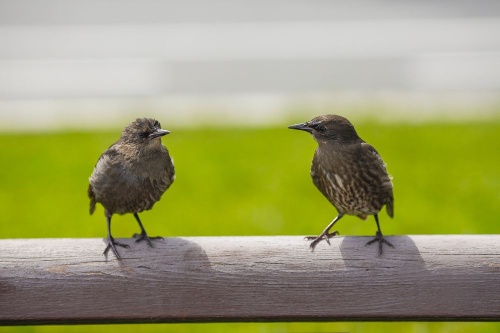 Photograph by Александр Ермаченко