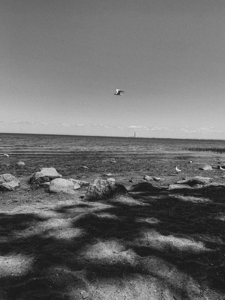 Photograph by Кристина Томеева