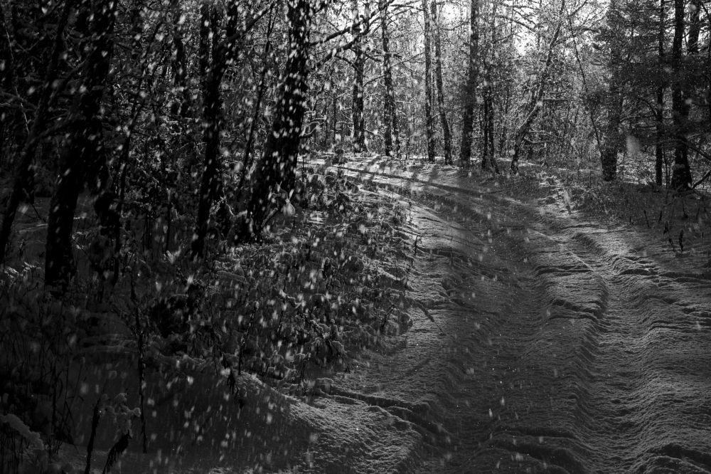 Photograph by Ершов Сергей