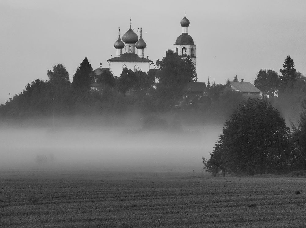 Photo #7669416