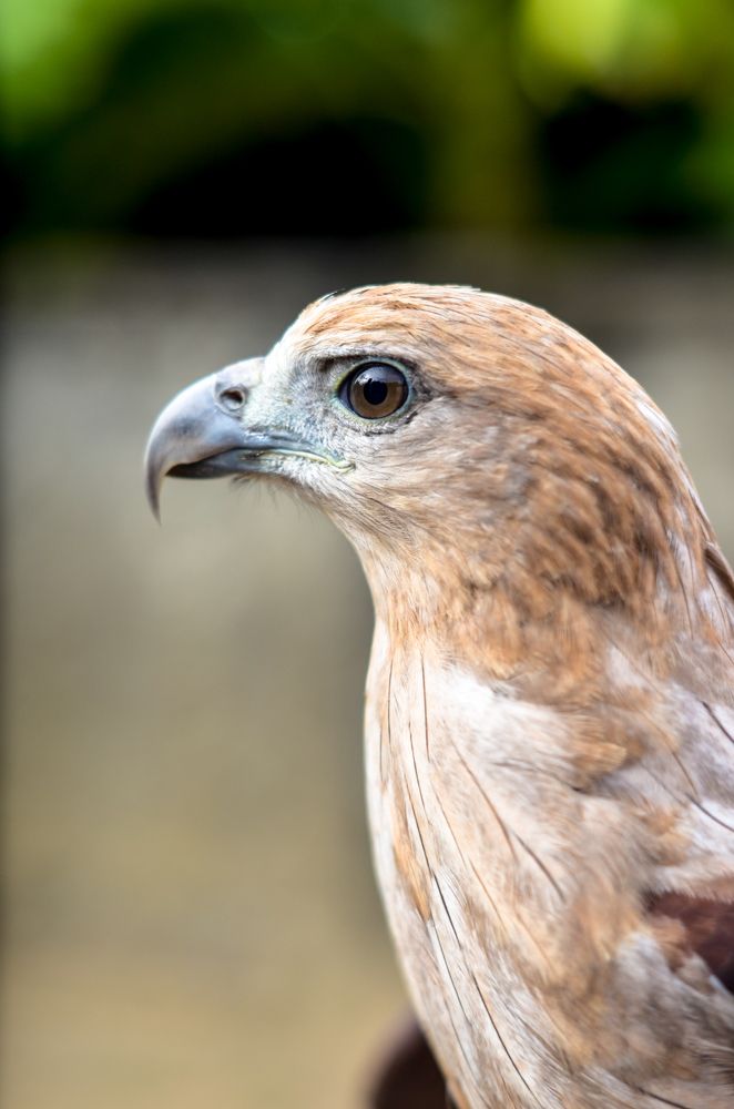 Photograph by Sriram Rajeswaran