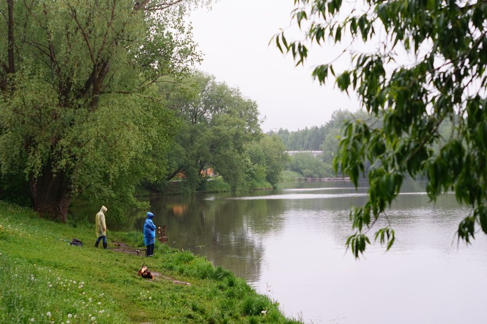 Photograph by Александр Кизим