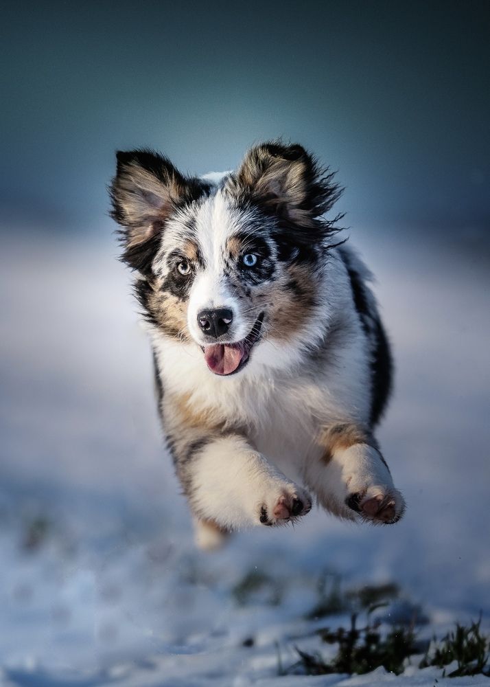 Photograph by Mike Kremer