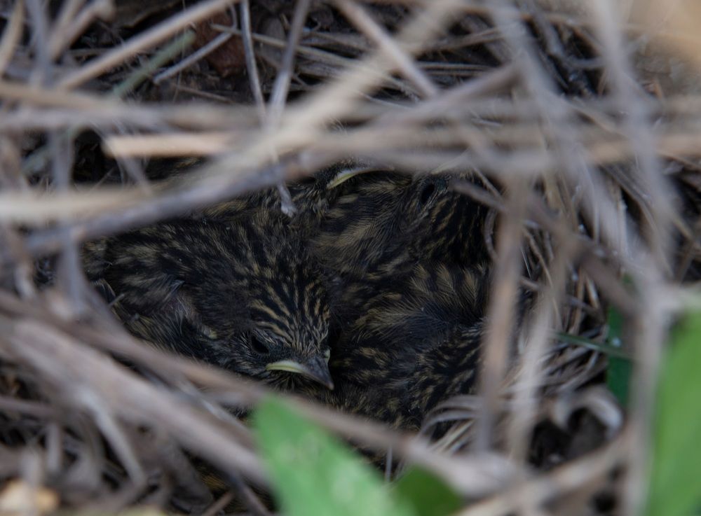 Photograph by Наталья Анисимова