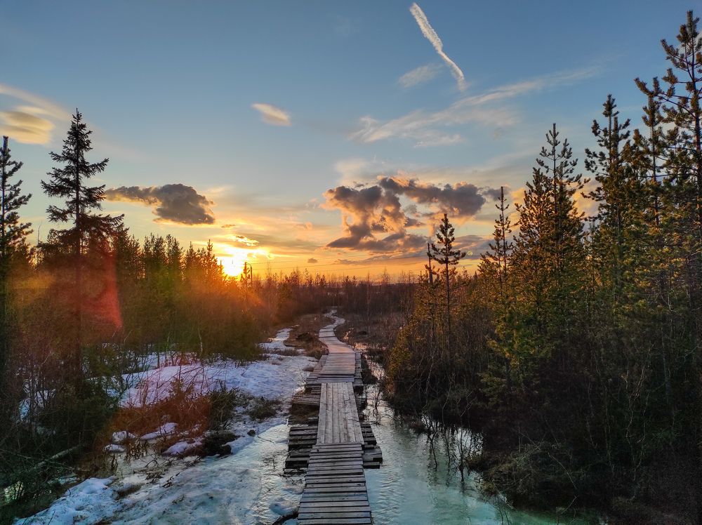 Ночные тропы полярного дня