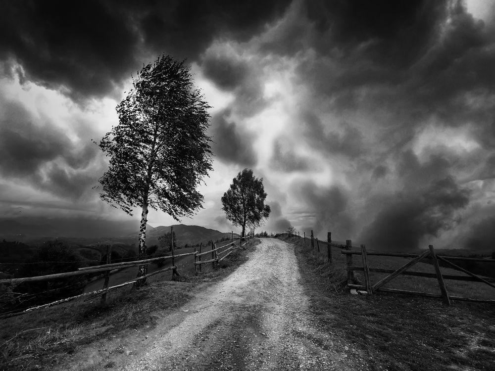 Photograph by Sarageaua Cristina