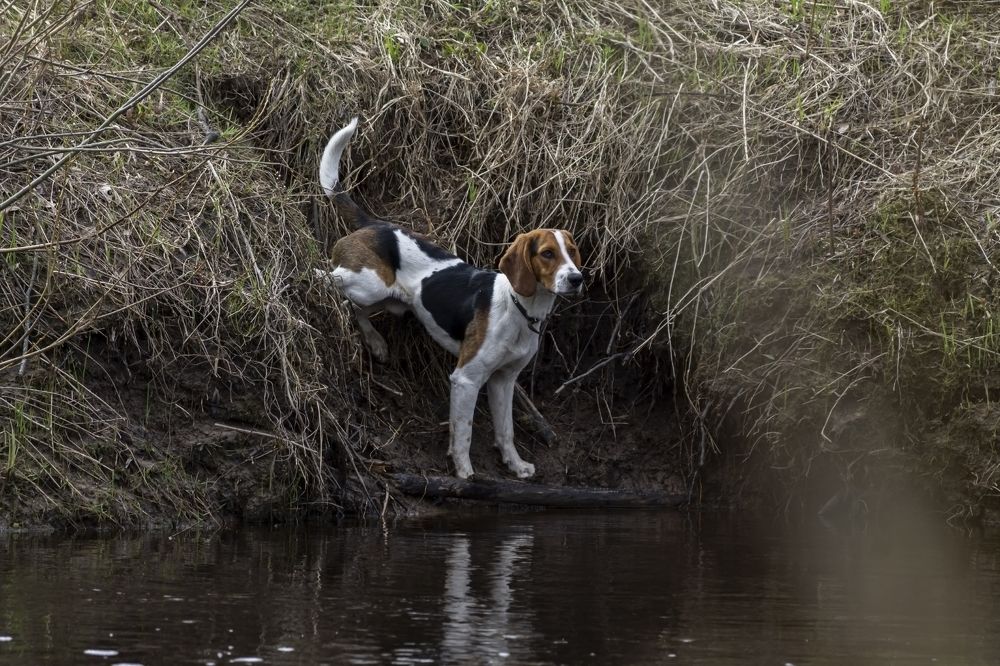 Photograph by Ольга Крючкова