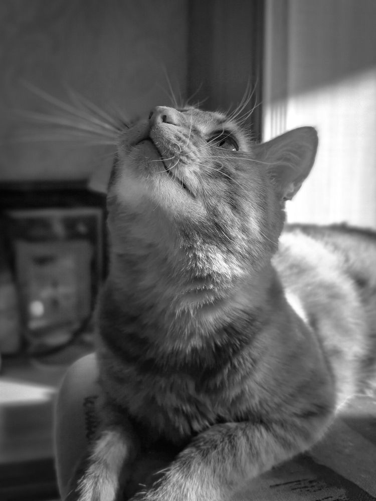 Photograph by Ольга Тюрина