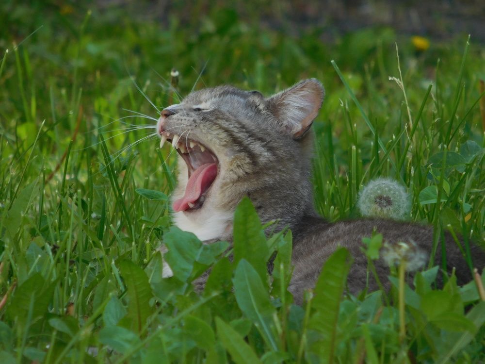 Photograph by Андрей Семенченко