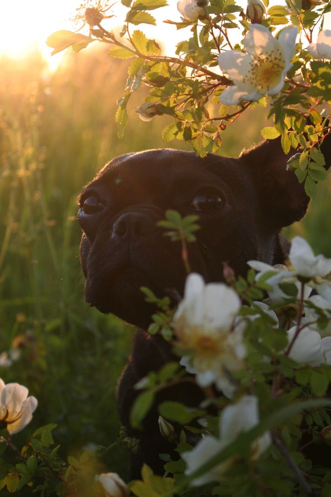 Фотография автора Татьяна Шебаршенко