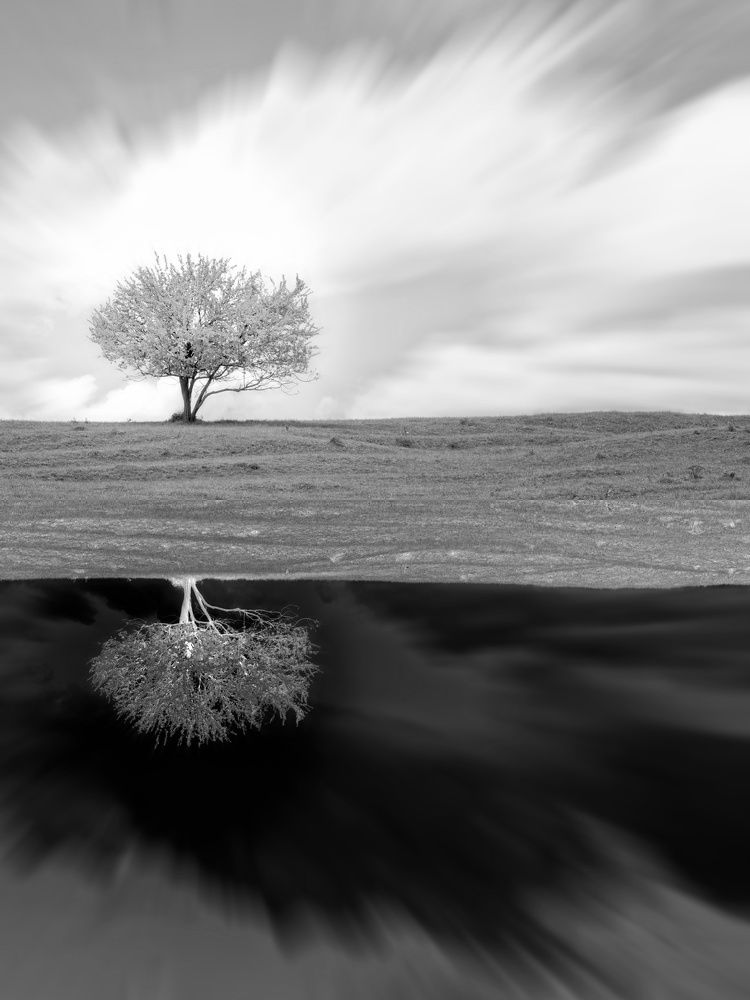 Photograph by Sarageaua Cristina