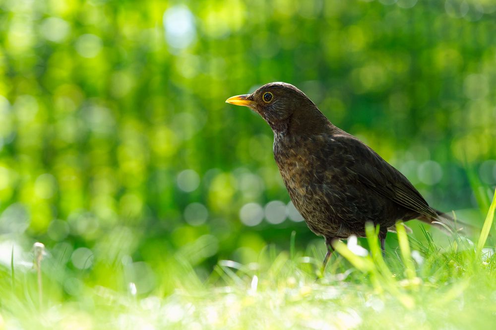 Photograph by Ilja Enger-Tsizikov