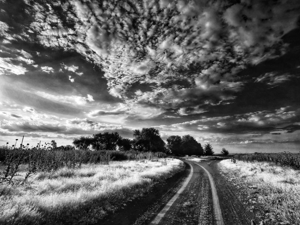 Photograph by Елена Артёменко