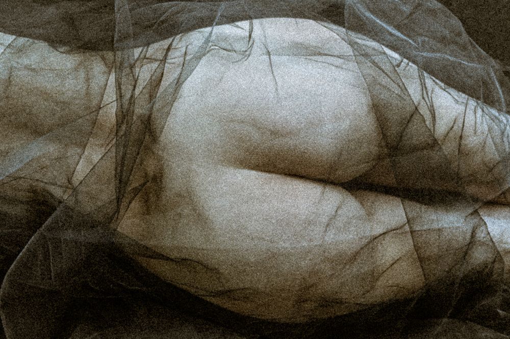 Photograph by Дмитрий Валовик