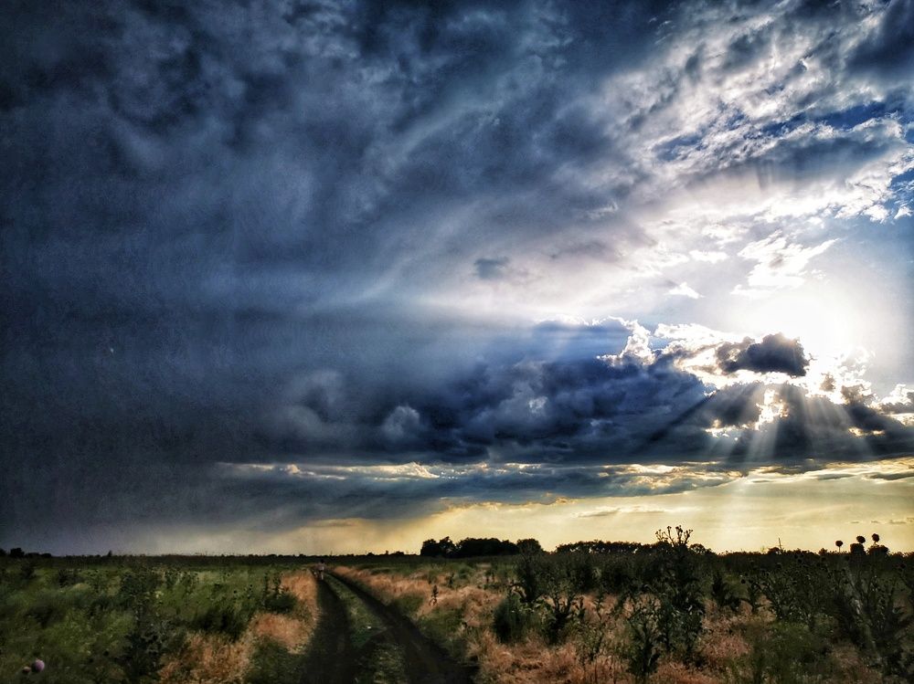 Гроза в степи