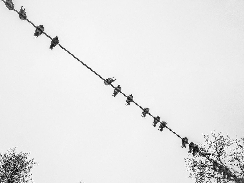 Photograph by Дмитрий Валовик