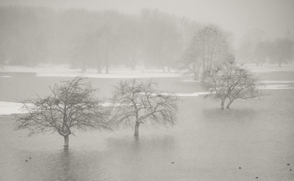 Photograph by Dimitris Vavliaras