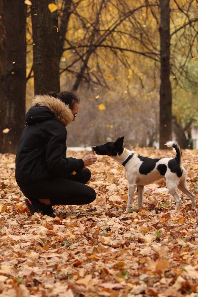 Photograph by Илья Соловьев