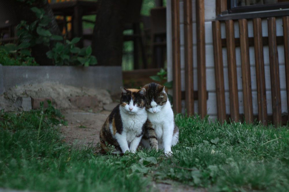 Photograph by Илья Соловьев