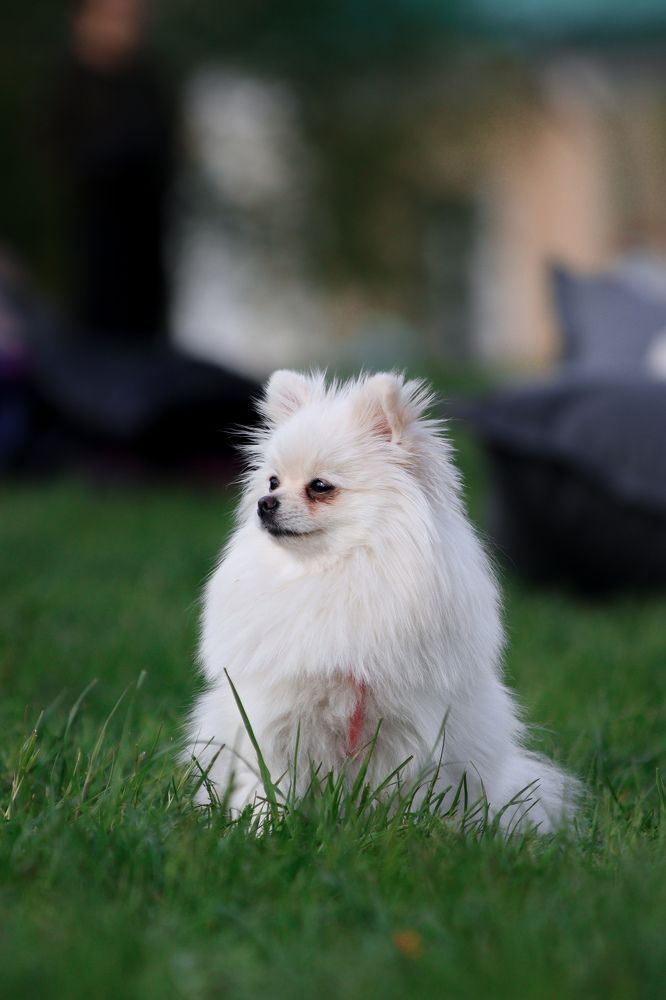 Photograph by Илья Соловьев