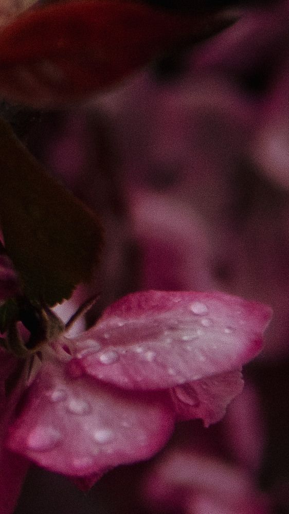 Photograph by Анна Муковозова