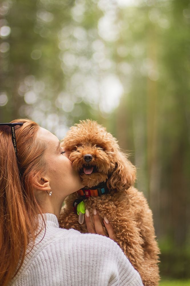 Фотография автора Екатерина Атавина