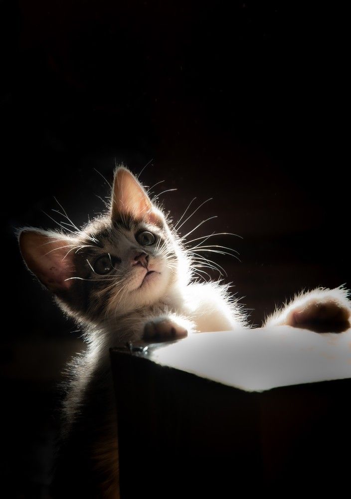 Photograph by Рохмистрова Мария