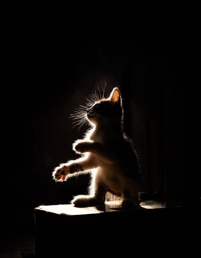 Photograph by Рохмистрова Мария