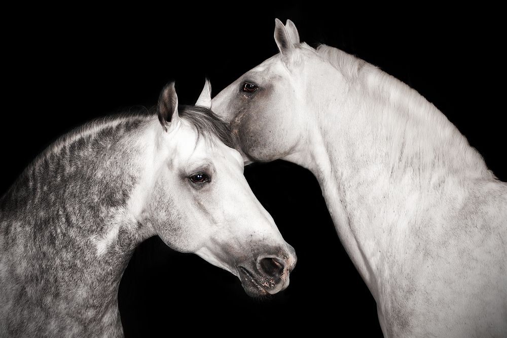 Photograph by Дарья Ералева