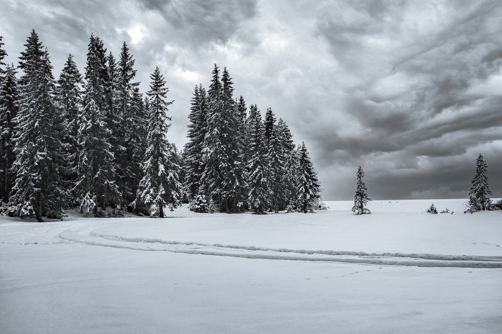 Photograph by Наталья Хачик