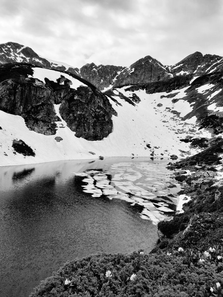 Photograph by Елена