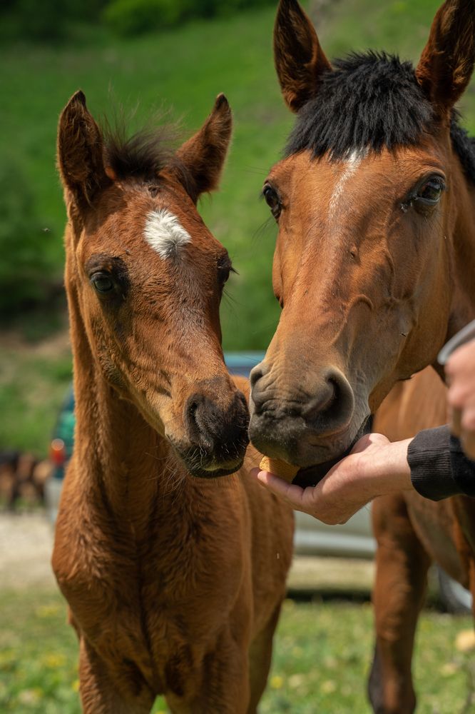Photograph by Ксения Илюшина