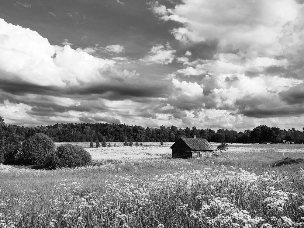 Photograph by Вадим Семенов