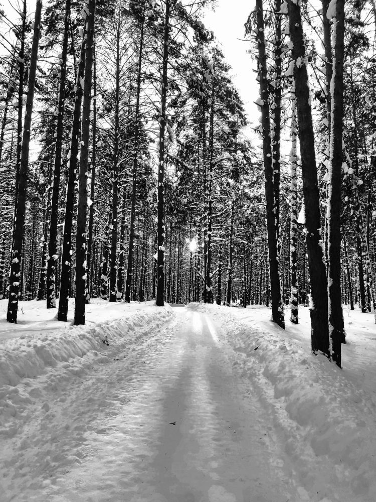 Photograph by Денис Хасанов