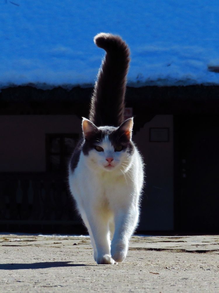 Photograph by Владимир Крылов