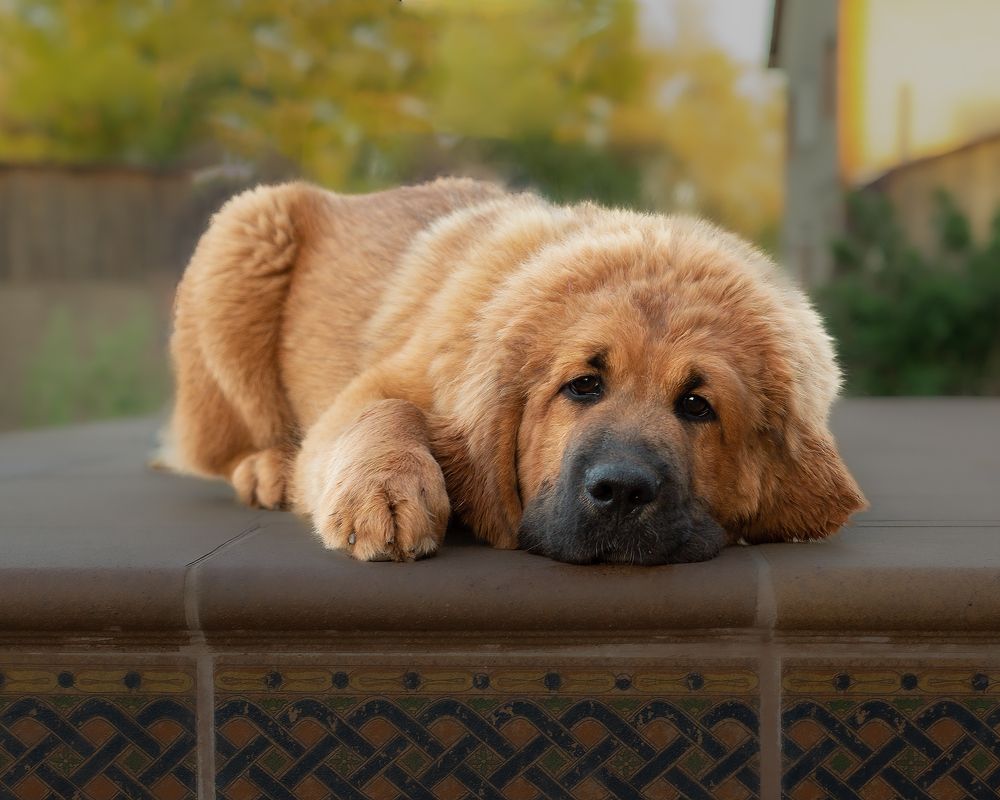 Photograph by Марина Бердяева