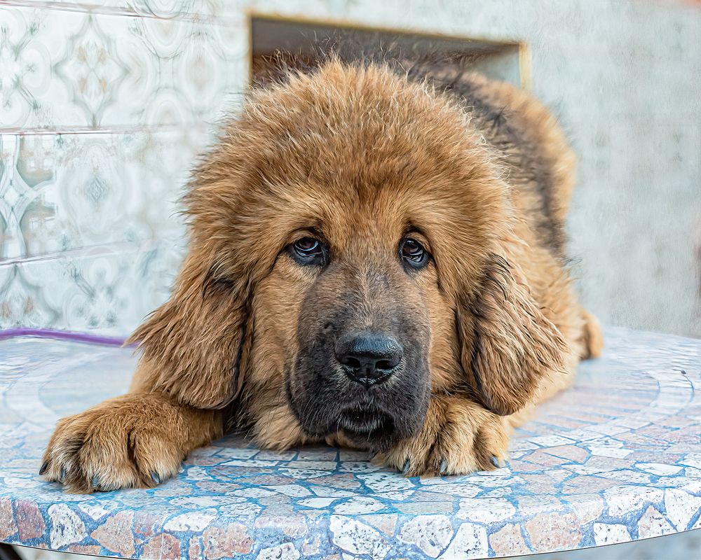 Photograph by Марина Бердяева