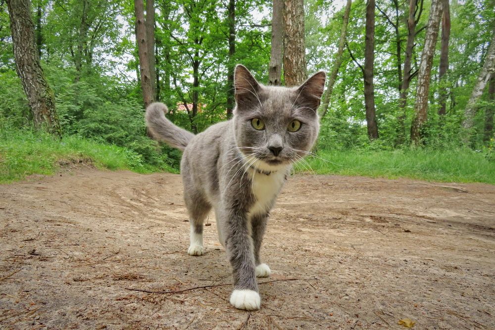 Photograph by Владимир Крылов