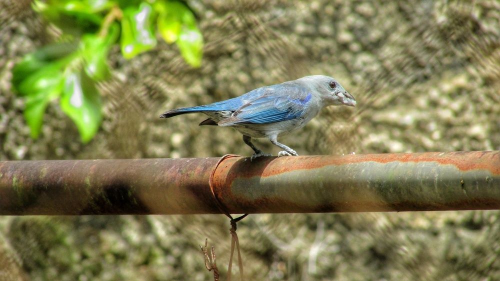 Photograph by Colmenarez nileydi