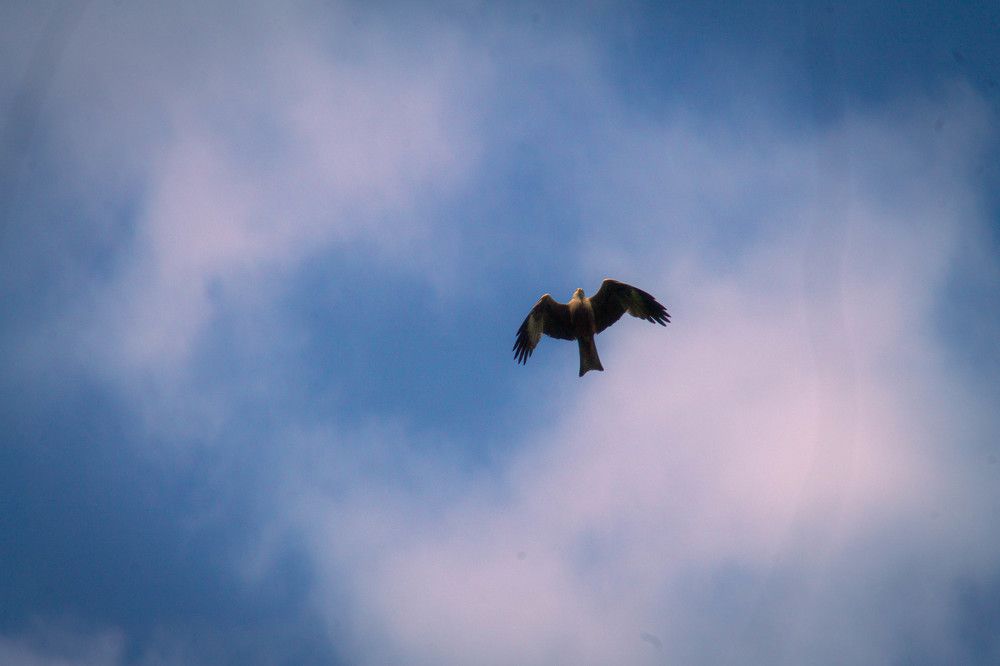 Фотография автора Misha