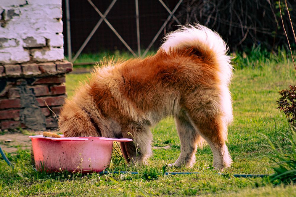 Фотография автора Misha