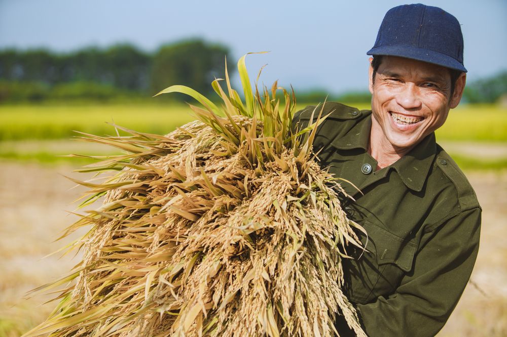 Photograph by Photographer Trung