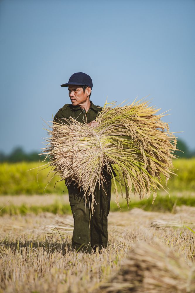 Photograph by Photographer Trung