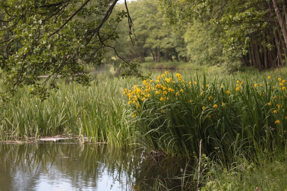 Photograph by Наталья Комарова