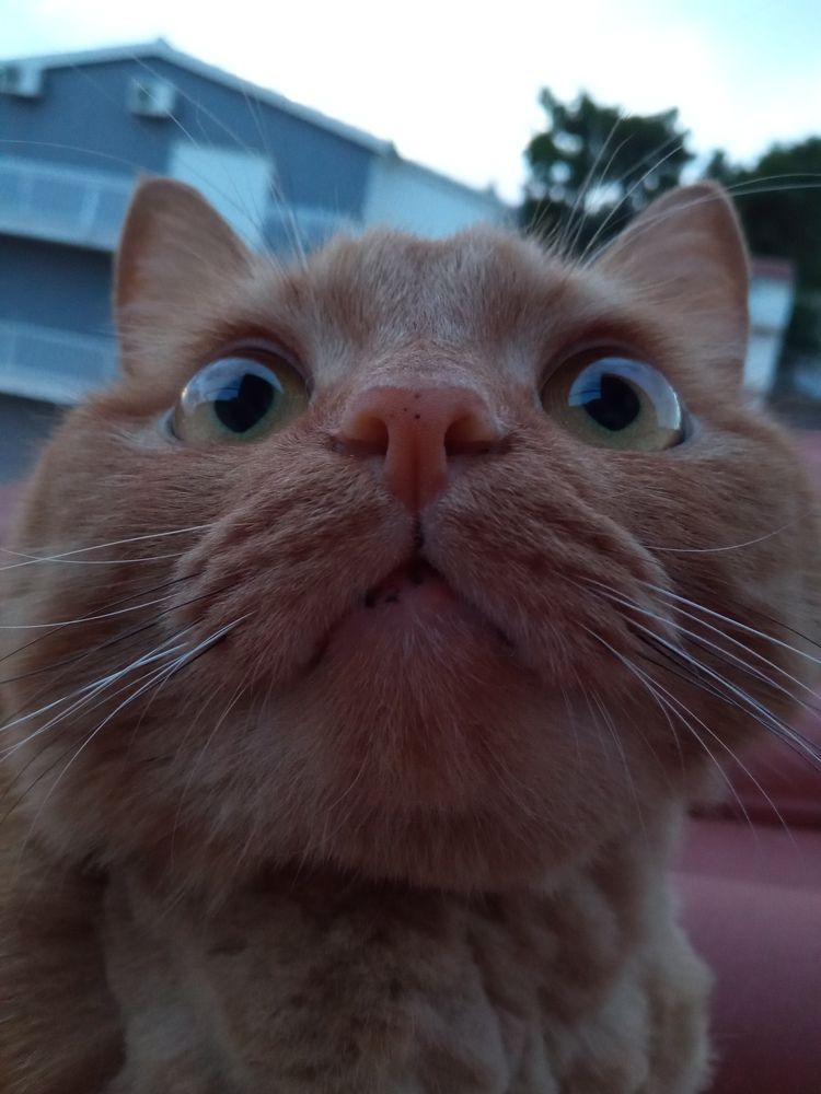 Фотография автора Светлана